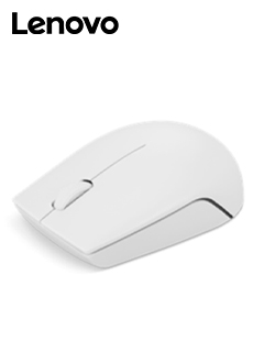 MOUSE INALAMBRICO COMPACTO LENOVO 300, COLOR GRISNUBE.CONECTIVIDAD: RECEPTOR INA