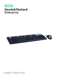 KIT DE TECLADO Y MOUSE HPE, USB, NEGRO, INGLES, ÓPTICO - P/N: 631341-B21